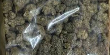 લઠ્ઠાકાંડ આરોપી ૧.૨૫ લાખના ૨ કિલો ૪૦૦ ગ્રામ ગાંજાના જથ્થા સાથે ઝડપાયો | A ares ren safeien opuchopuc…