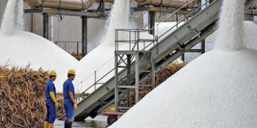 ખાંડનું ઉત્પાદન 8 ટકા વધીને 2.739 મિલિયન મેટ્રિક ટન | Sugar production increases by 8 percent to 2 7…