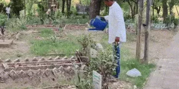 સ્થાનિક સ્વરાજ્યની ચૂંટણી: રાજપીપળામાં કોંગ્રેસે કબ્રસ્તાનની સંભાળ રાખતા વ્યક્તિને આપી ટિકિટ | Rajpi…