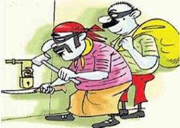 પરિવારજનો ધાબે સૂતા હતા,માળિયામાં ડબ્બામાંથી રૃ.૧.૬૪ લાખની મતા ચોરાઇ | 1 64 lakhs ra solani kapachel…