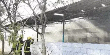 મોટી દુર્ઘટના: તમિલનાડુની ફટાકટા ફેક્ટરીમાં બ્લાસ્ટ, અત્યાર સુધીમાં 19 લોકોના મોત, 6 ઈજાગ્રસ્ત | tam…