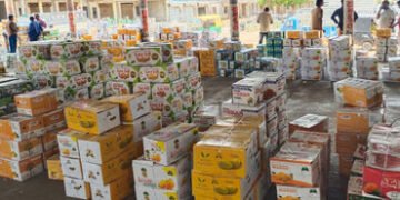 તાલાલા યાર્ડમાં કેસર કેરીની હરાજીનો પ્રારંભ, પ્રથમ દિવસે 10400 બોક્સની આવક | Kesar mango auction beg…