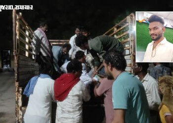 નસવાડી: ખેતરમાં કામ કરતી વખતે વીજળી પડતા યુવકનું મોત, 2નો આબાદ બચાવ, મકાઈના ડોડા ભરતી વખતે કાળ ત્રાટ…