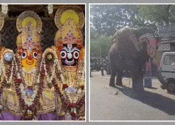 અમદાવાદ: અખાત્રીજે જગન્નાથ મંદિરમાં ચંદનયાત્રા, ફૂલોથી સુશોભિત રથોનું વિધિવત પૂજન અને શાસ્ત્રોક્ત વિ…