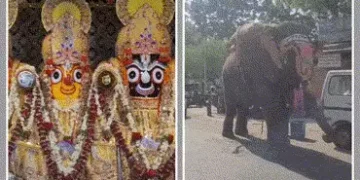 અમદાવાદ: અખાત્રીજે જગન્નાથ મંદિરમાં ચંદનયાત્રા, ફૂલોથી સુશોભિત રથોનું વિધિવત પૂજન અને શાસ્ત્રોક્ત વિ…