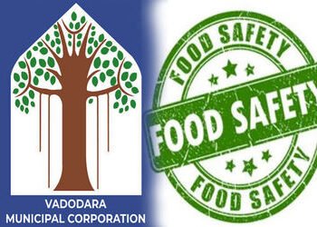 કેરીની વખારો, આઈસ્ક્રીમ, ઠંડાપીણા, પેક ડ્રીન્કિંગ વોટરના કારખાને વડોદરા આરોગ્ય વિભાગનું ચેકિંગ | Vad…