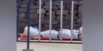 કેદારનાથમાં ગુજરાતી શ્રદ્ધાળુનું મોત, વડોદરાના ટૂર ઓપરેટરના પિતાનું હાર્ટ એટેકથી નિધન | gujarati pil…