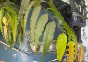 ઓપરેટરને બે લાખની પેનલ્ટી કરાઈ, ચાંદખેડામાં બેકાબૂ BRTS બિલ્ડિંગની દિવાલ તોડી ઘૂસી ગઈ | The operator…