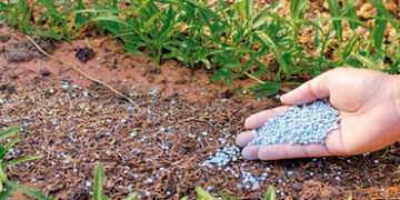 ખાતર ઉત્પાદન 13 વર્ષના તળિયે, કૃષિ ક્ષેત્ર પર અસર થશે | Fertilizer production at 13 year low agricul…