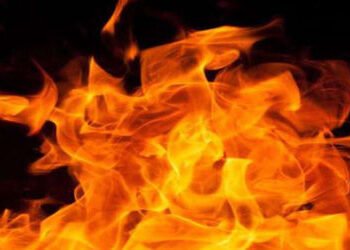 વડોદરામાં ગરમીના પ્રકોપને કારણે કચરાના ઢગલામાં આગના છ બનાવ | Six incidents of fire in garbage dumps …