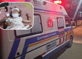 છોટા ઉદેપુર: પાવી જેતપુરના નાની રાસલીમાં બાળકી પર દીપડાનો હુમલો, ગંભીર ઈજાઓ થતા હોસ્પિટલ ખસેડાઈ | ch…