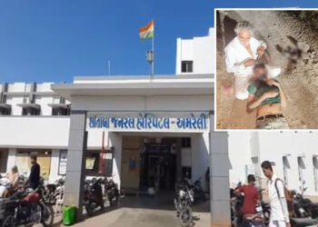 અમરેલી: ટ્રેક્ટરમાં રીલ બનાવતા મજૂરને ઠપકો આપવો વાડી માલિકને ભારે પડ્યો, પથ્થર અને પાઈપના ઘા ઝીંકી ક…