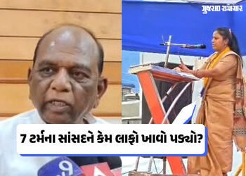ચૈતર વસાવાની પત્નીનો દાવો, 7 ટર્મના સાંસદને ભાજપ નેતાએ લાફો માર્યો, મનસુખ વસાવાએ સમગ્ર ઘટના જણાવી | …