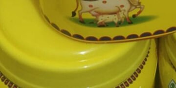 રહેણાંક મકાનના પહેલા માળે ડુપ્લીકેટ ઘી બનાવાતુ હતુ, નિકોલમાંથી ૧.૬૦ લાખની કિંમતનો ડુપ્લીકેટ ઘીનો જથ્…