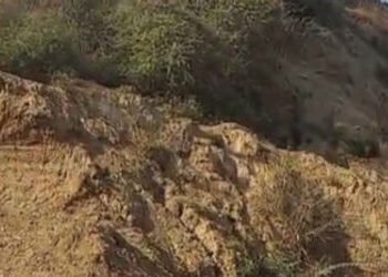 મહી નદીના કોતરોમાંથી ખનન માફિયાઓની માટી અને રેતીની ચોરી | illegal sand and soil mining near mahi riv…