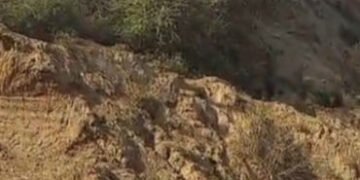 મહી નદીના કોતરોમાંથી ખનન માફિયાઓની માટી અને રેતીની ચોરી | illegal sand and soil mining near mahi riv…