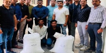 ઓરીસ્સાથી ૧૭ લાખનો ગાંજો લઇને આવી રહેલા બે યુવકો ઝડપાયા | ahmedabad railway police seized 34 kg ganj…