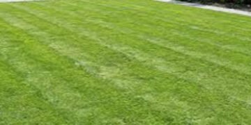 શહેરના બગીચાઓ સિનિયર સિટિઝન્સ ફ્રેન્ડલી નથી | gardens of vadodara are not senior citizen friendly