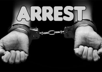 ક્રિકેટ મેચ પર ઓનલાઇન સટ્ટો રમતા ત્રણ શખ્સ ઝબ્બે | Three men arrested for betting online on cricket …