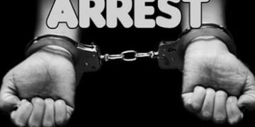 ક્રિકેટ મેચ પર ઓનલાઇન સટ્ટો રમતા ત્રણ શખ્સ ઝબ્બે | Three men arrested for betting online on cricket …