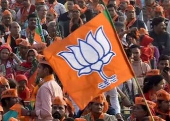 મારું જો જો… વિરોધ વચ્ચે ભાજપના ઉમેદવારોએ ‘પાર્ટી’ સાઈડમાં મૂકી ‘પોતાની’ દુકાનો ખોલી! | BJP Candid…