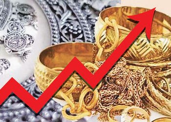 સોના-ચાંદી ઉંચકાયા : પ્રીમિયમ વધ્યા પ્લેટીનમ 2000 ડોલર કુદાવી ગયું | Gold and silver rise: Premiums …