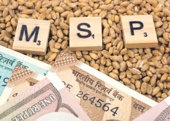 ટેકાના ભાવે ઘઉં ખરીદીનો ટાર્ગેટ 15 ટકા વધારીને 3.45 કરોડ ટન કરાયો | Wheat procurement target at supp…