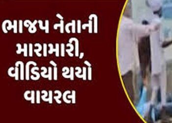ભાજપની ચૂંટણી સભામાં પ્રશ્ન પૂછનાર ગ્રામજનને સાંસદની સામે જ માર માર્યો | Villager beaten up in front…