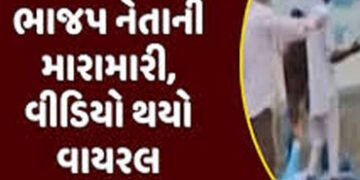 ભાજપની ચૂંટણી સભામાં પ્રશ્ન પૂછનાર ગ્રામજનને સાંસદની સામે જ માર માર્યો | Villager beaten up in front…