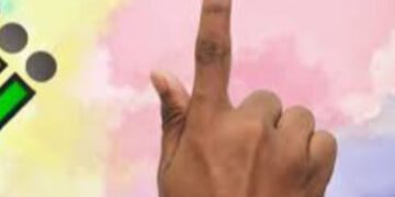 બપોરે પણ કેટલાક મતદાન મથકો પર વોટિંગ માટે લાઇન | Lines for voting at some polling stations even in t…