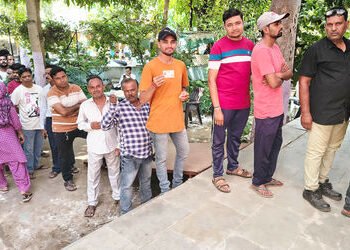 વડોદરા જિલ્લાની વાઘોડિયા નગર પાલિકાએ પહેલી જ ચૂંટણીમાં મતદાનનો રેકોર્ડ કર્યો | Waghodia Municipal Co…