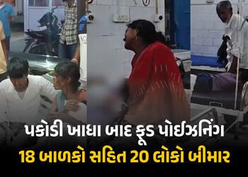 પકોડી ખાધા બાદ ફૂડ પોઈઝનિંગ : ગિરિડીહમાં 18 બાળકો સહિત 20 લોકો બીમાર, એકનું મોત | Giridih Food Poiso…