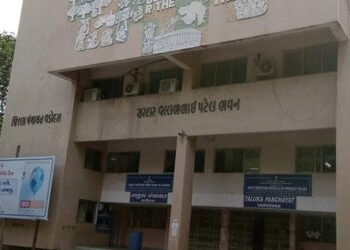 વડોદરા જિલ્લા પંચાયતની 30 બેઠક ઉપર 72.30 ટકા મતદાનઃ કઇ બેઠક પર કેટલું મતદાન | How much voting on whi…