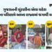 અનોખા ચહેરા: મહેસાણામાં પટ્ટાવાળો બનશે કોર્પોરેટર, બહુચરાજીમાં બંગડી વેચનારી બેનનો વિજય, બે શ્રમિક મ…