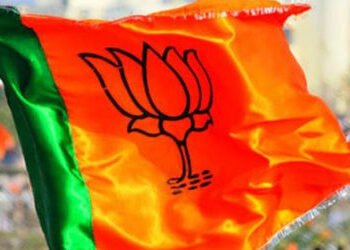 વડોદરા જિલ્લામાં જંગી બહુમતી બાદ હવે ભાજપ ગદ્દારોને પાઠ ભણાવશે,કોંગ્રેસના જિલ્લા પ્રમુખ-મહામંત્રીના …