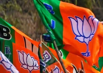 15 મહાનગર પાલિકા ,78 નગરપાલિકા, 33 જિલ્લા પંચાયત અને 250 જેટલી તાલુકા પંચાયતમાં કેસરિયો લહેરાયો | Sa…