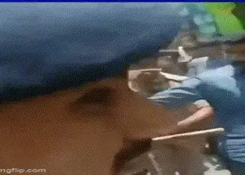 સુરત: આલુપુરી લેવા ગયેલી 11 વર્ષની બાળકીની છેડતી કરનાર 56 વર્ષીય આધેડનો પોલીસની હાજરીમાં ‘ટપલીદાવ’ |…