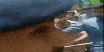 સુરત: આલુપુરી લેવા ગયેલી 11 વર્ષની બાળકીની છેડતી કરનાર 56 વર્ષીય આધેડનો પોલીસની હાજરીમાં ‘ટપલીદાવ’ |…