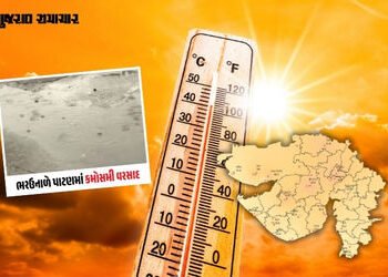 ગુજરાતમાં બેવડી ઋતુ: પાટણમાં ભરઉનાળે વરસાદી ઝાપટું, રાજકોટમાં ગરમીનો પારો 43ને પાર | Gujarat Weather…