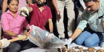 વટવામાં ઘરમાં જ દાટેલી યુવતીનું હાડપિંજર મળ્યું, DNA રિપોર્ટ ખોલશે હત્યાના રાઝ, આરોપી ‘પરિચિત’ હોવાન…