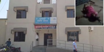 નસવાડીમાં લૂંટના ઈરાદે વૃદ્ધાની હત્યા, ચાંદીના કડા કાઢવા લૂંટારુઓએ મહિલાના બંને પગ કાપી નાખ્યા | Sho…