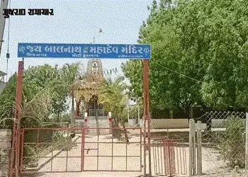 અમરેલી: કુકાવાવમાં તાલીમ લઈ રહેલી આંગણવાડીની બહેનો પર મધમાખીનો હુમલો, 25થી વધુ ઇજાગ્રસ્ત | Many Anga…