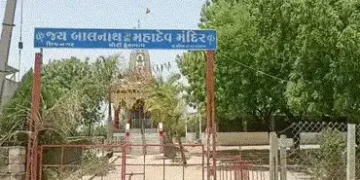 અમરેલી: કુકાવાવમાં તાલીમ લઈ રહેલી આંગણવાડીની બહેનો પર મધમાખીનો હુમલો, 25થી વધુ ઇજાગ્રસ્ત | Many Anga…