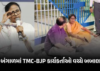 VIDEO : TMCએ EVMમાં ગડબડીના CCTV જાહેર કર્યા, BJP કાર્યકરો સાથે ઘર્ષણ, સ્ટ્રોંગ રૂમ બહાર પહોંચ્યા CM…