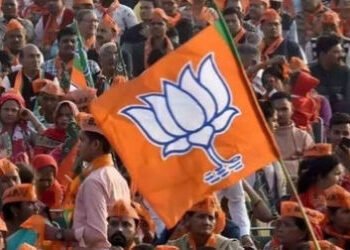 AMCમાં ભાજપના 51 પટેલ, 14 જૈન અને 16 બ્રાહ્મણ ઉમેદવારો જીત્યાં, જોઇ લો જ્ઞાતિ આધારિત લેખા જોખા | Cas…
