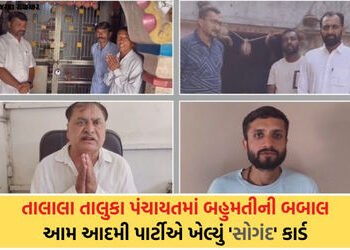 તાલાલા તાલુકા પંચાયતમાં ‘આપ’નો માસ્ટરસ્ટ્રોક: પક્ષપલટો રોકવા વિજેતા ઉમેદવારોને ઇષ્ટદેવના સોગંદ લેવડા…