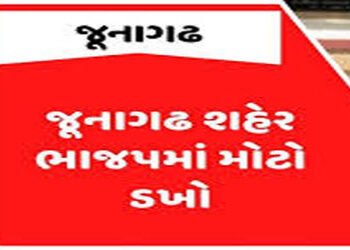 વ્હોટ્સએપમાં MLA વિરોધી ટિપ્પણી કરનાર ભાજપના જ કાર્યકરો પર હુમલો | BJP workers attacked for making a…