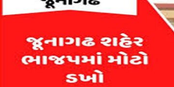 વ્હોટ્સએપમાં MLA વિરોધી ટિપ્પણી કરનાર ભાજપના જ કાર્યકરો પર હુમલો | BJP workers attacked for making a…