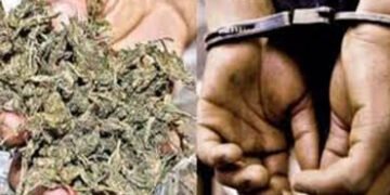 730 ગ્રામ ગાંજા સાથે બોટાદના શખ્સને ઝડપ્યો | Man from Botad arrested with 730 grams of ganja