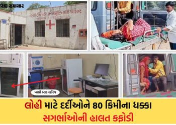 લોહી માટે ‘લોહી ઉકાળા’: નસવાડી બ્લડ બેંકનું રિન્યુઅલ અટકતા દર્દીઓની હાલત કફોડી, તંત્રની લાલિયાવાડી સ…